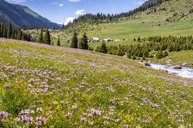 day-4-altyn-arashan-by-philipp-schreistetter