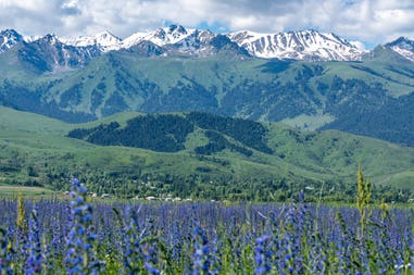 -by-philipp-schreistetter