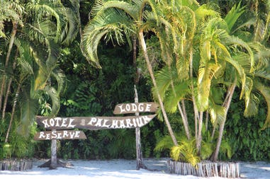 sary-dep-franco-377-