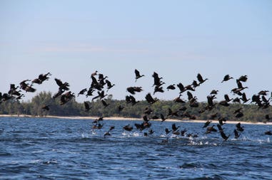 sary-dep-franco-404-