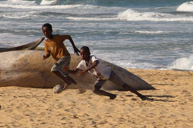 sary-dep-franco-412-