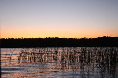 sary-dep-franco-428-