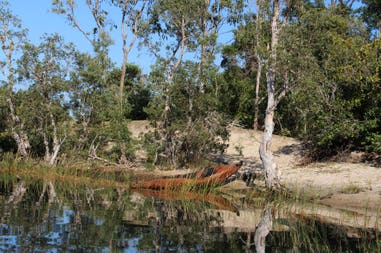 sary-dep-franco-438-