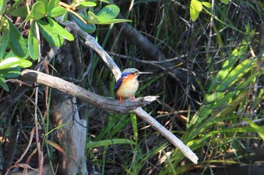 sary-dep-franco-439-