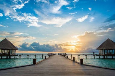 208929-5fc8d5c900dd3