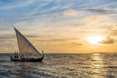 208929-5fc8d5c900ddb