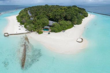 203233-5f3fb63f17375