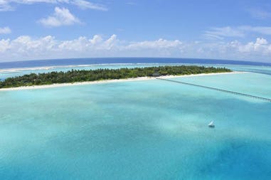 202621-5f3286a6e0ca8