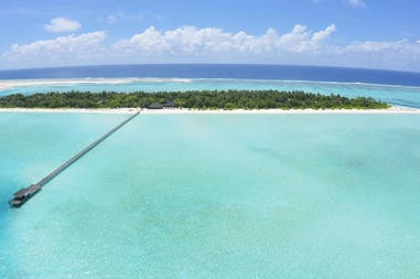 202621-5f3286a6e0caa