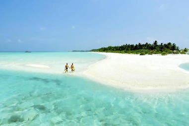 202621-5f3286a6e0cab