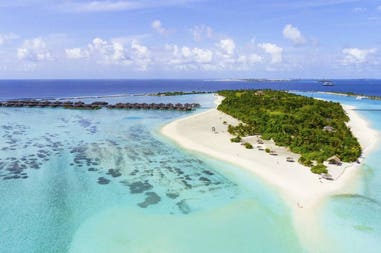 203574-5f48f7c6b15d2