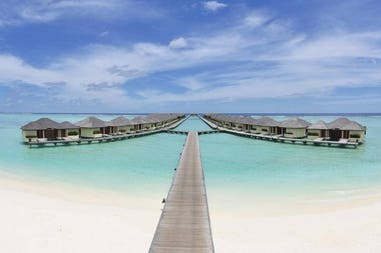 203574-5f48f7c6b15d7