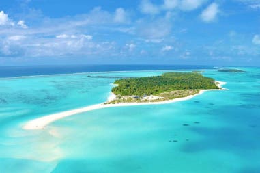 202971-5f3a76c70e2d7