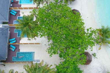 202971-5f3a76c70e2db