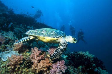 202971-5f3a76c70e2dd