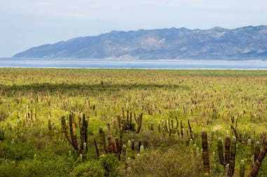 Mexico Baja California landscape