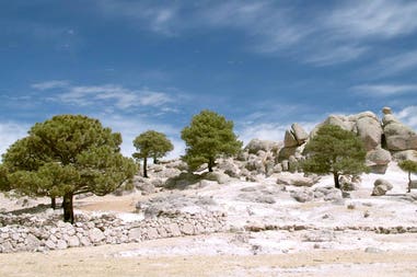 Mexico Copper Canyon landscape