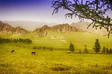 Mongolia paesaggio