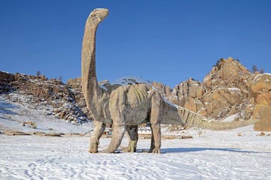 Roccia a forma di dinosauro al Parco nazionale Gorkij Terelj