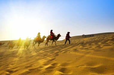 mongolia-gobi-desert-camels-brigade
