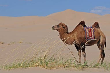 mongolia-3046029-1920