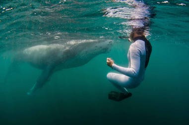 Mozambico snorkeling