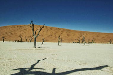 deadvlei