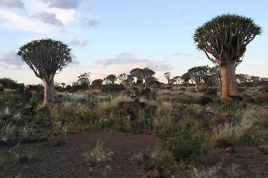 Panoramic view of a typical landscape in Namibia