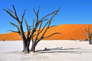 Namibia deserto