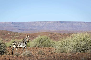 Namibia Palmwag Concession 