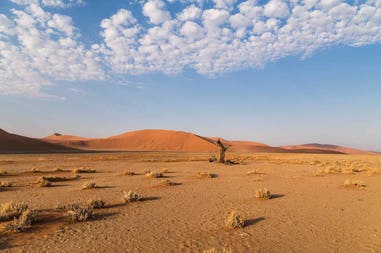 Namibia deserto