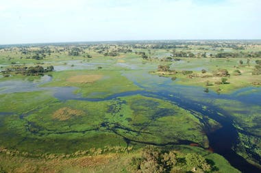 botswana-okavango-delta-il-delta-del-fiume-okavango-in-botswana