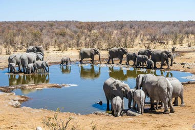 namibia-etosha-national-park