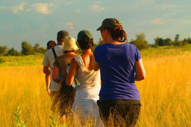 Walkin in the Okavango delta