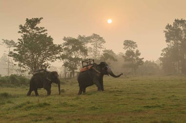 Nepal Chitwan National Park