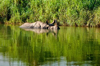 Nepal Chitwan National Park