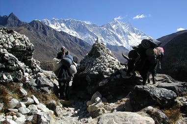 Nepal Everest trekking