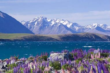 lake-tekapo