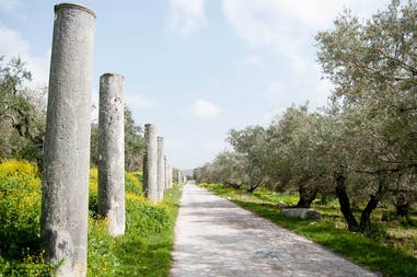 Palestina Sebastia scavi