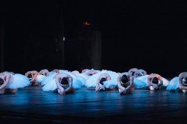 Group of dancers in theater