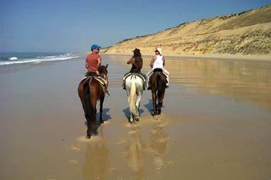 Portugal Algarve horses