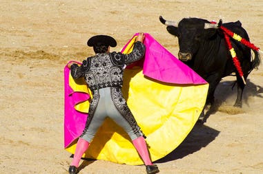 Spain bullfighting