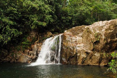 Waterfall in Sinharaja Rainforest in Sri Lanka