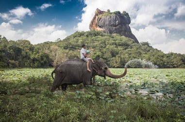 Safari on an elephant in Sri Lanka