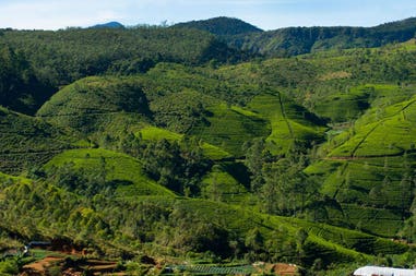 sri-lanka-nuwara-eliya