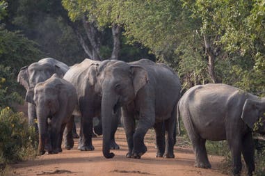 189443-5dfa04df991fa