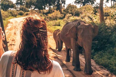 189443-5dfa04dfa11a3