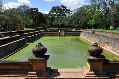 194977-5e5e5dfd3e988