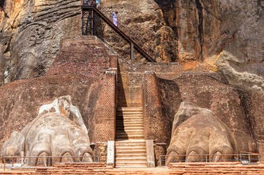 194977-5e5e6207a8663