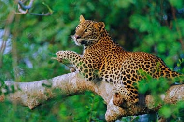 194977-5e5e6207a8668